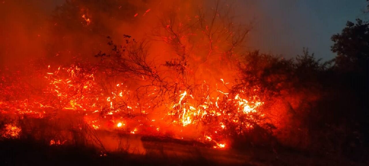 بیش از ۵۰ هکتار از بیشه روستای مهدی‌آباد شوشتر خسارت دید