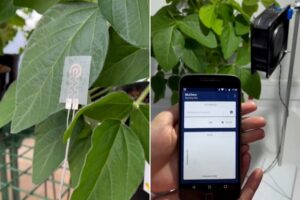 توسعه “ساعت هوشمند” برای گیاهان!