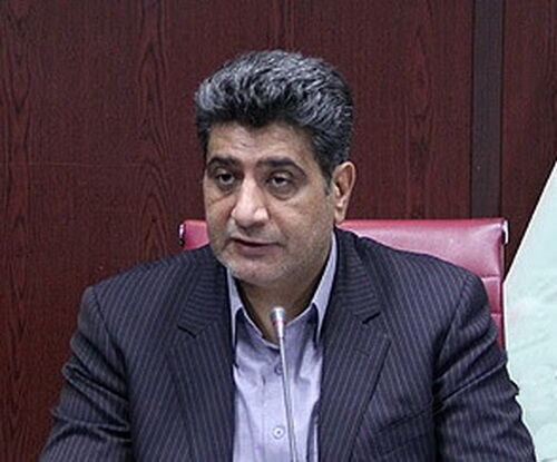 رئیس نظام مهندسی ساختمان فارس: معماری ایرانی اسلامی در ساخت و سازهای شهری احیا شود