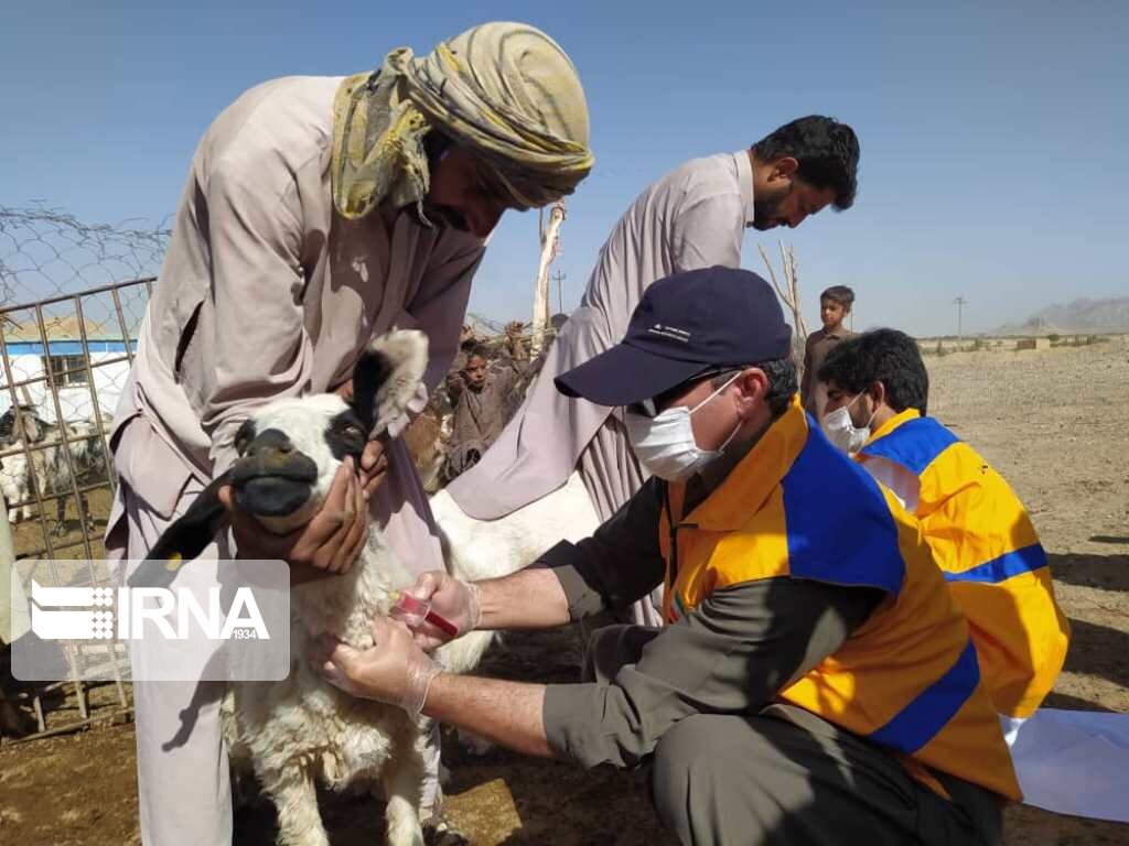 رزمایش جهادگران فاطمی در خاش برگزار شد