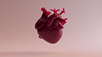 رویکرد جدید سلول درمانی برای بازسازی بافت قلبی پس از حمله قلبی