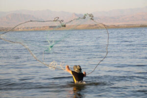 رییس اداره شیلات: صید ماهی در سد ارس پلدشت ممنوع شد