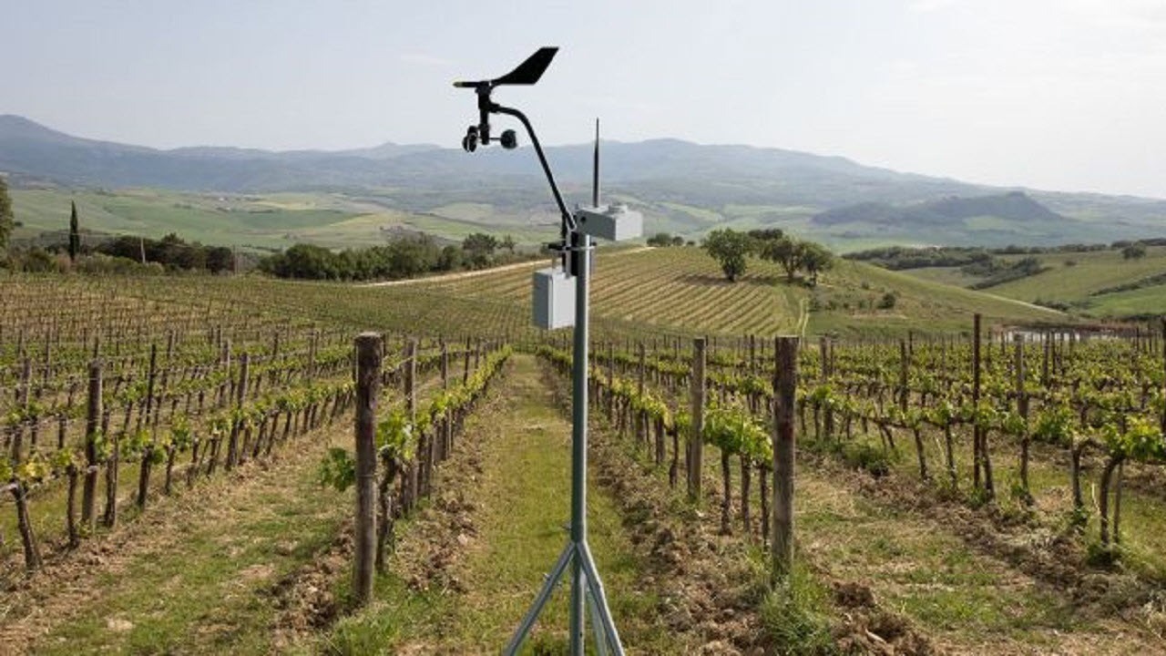 شرکت استارت آپی Sencrop فناوری ای را توسعه داده که به کشاورزان در پیش بینی هوا کمک شایانی می کند.