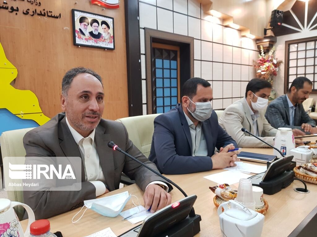 معاون استاندار بوشهر: جراحی اقتصادی دولت گامی برای برچیده شدن رانت است