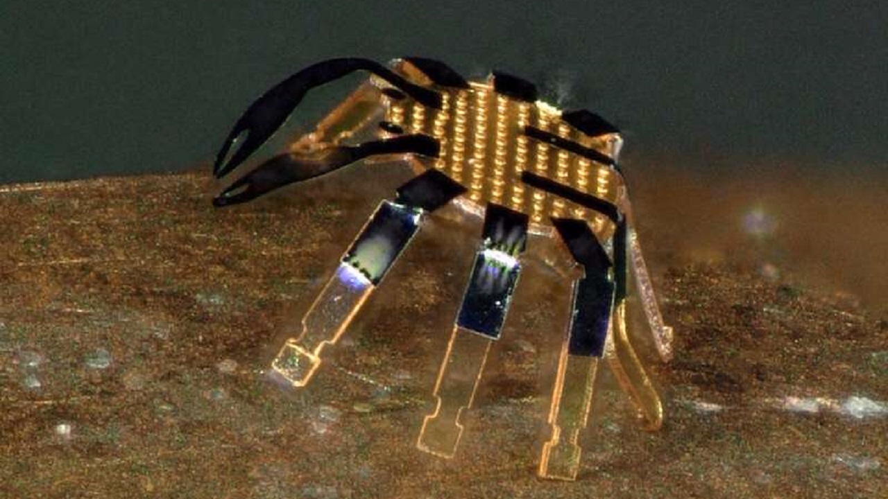 مهندسان رباتی کوچک ساخته‌اند که توانایی راه رفتن، خم شدن، چرخیدن، پیچیدن و پریدن دارد.