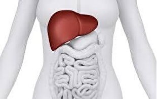 موردی از شیوع ویروس کبدی در ایران گزارش نشده است