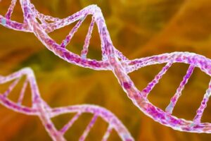 نقش یک تغییر ژنتیکی در افزایش ابتلاء انسان به سرطان