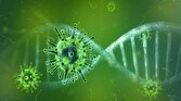 یافته محققان کانادایی در خصوص الگوی تکامل ویروس‌ها