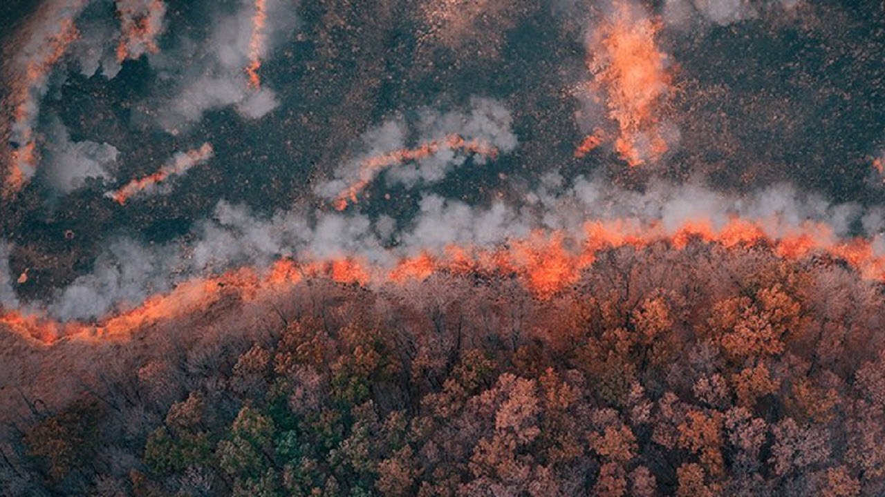 بنا به گفته دانشمندان قدمت قدیمی ترین آتش سوزی های زمین به ۴۳۰ میلیون سال قبل می‌رسد.
