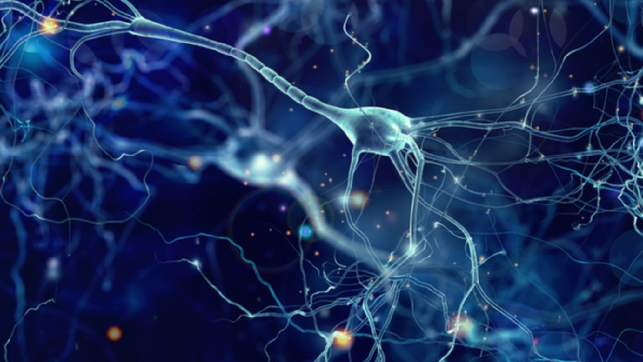دانشمندان فناوری جدیدی برای شناخت اعصاب بیمار و کاهش احتمال آسیب عصبی ابداع کردند.