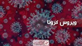 افزایش موارد ابتلا و بستری های کرونا در کشور تا دو هفته آینده/ مردم استفاده از ماسک را فراموش نکنند