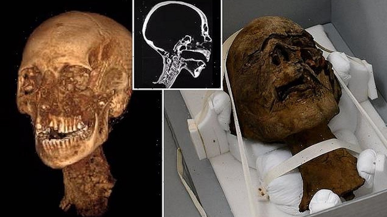 سر بریده شده یک زن که معتلق به ۲ هزار سال پیش است در خانه‌ای در انگلیس پیدا شد.