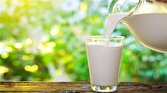 توسعه صنعت لبنیات با استفاده از شیر مصنوعی