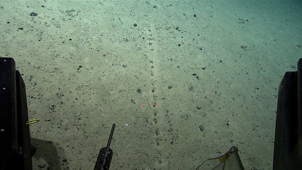مجموعه از حفره‌های عجیب در کف اقیانوس اطلس کشف شده که برای کاوشگران «بیگانه» و ناآشنا هستند.