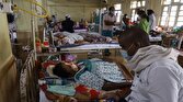 افزایش تلفات تب دنگی در جنوب پاکستان