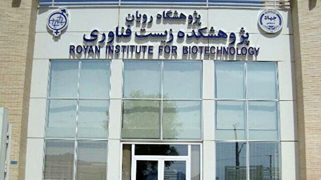 ایران جزء ۳ کشور اول خاورمیانه در دانش سلول‌های بنیادین