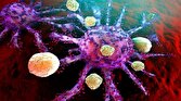 ویروس‌هایی که باعث سرطان و سرکوب سیستم ایمنی می‌شوند