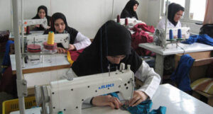 معاونت زنان تسهیلاتی را در ۱۹ استان به کارآفرینانی ارایه داد تا زنان را تحت پوشش قرار دهند