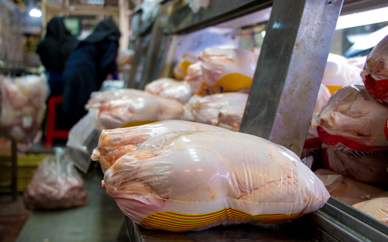 تولید مرغ کاهش یافته‌است/مرغ در یک قدمی کیلویی ۱۰۰ هزار تومان