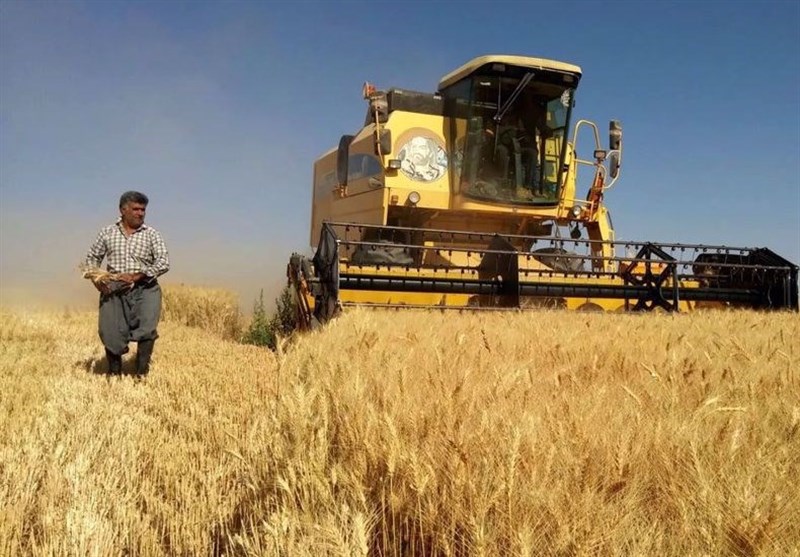 رده‌بندی ۳۱ استان کشور به ترتیب سهم کل خرید گندم از کشاورزان