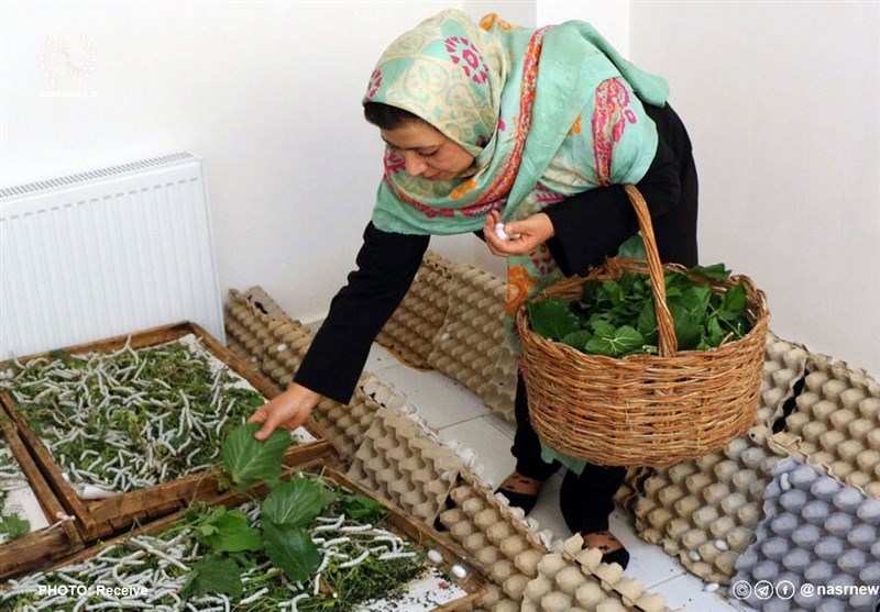 تبدیل مشاغل خانگی به مدل جدیدی از اشتغال پایدار