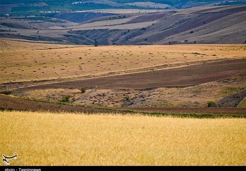 پرداخت وام قرض الحسنه ۲۰۰ میلیون تومانی برای توسعه دیمزارها