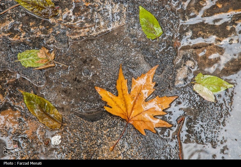 هواشناسی ایران۱۴۰۳/۸/۱۴؛ رگبار باران در تهران و ۲۳ استان