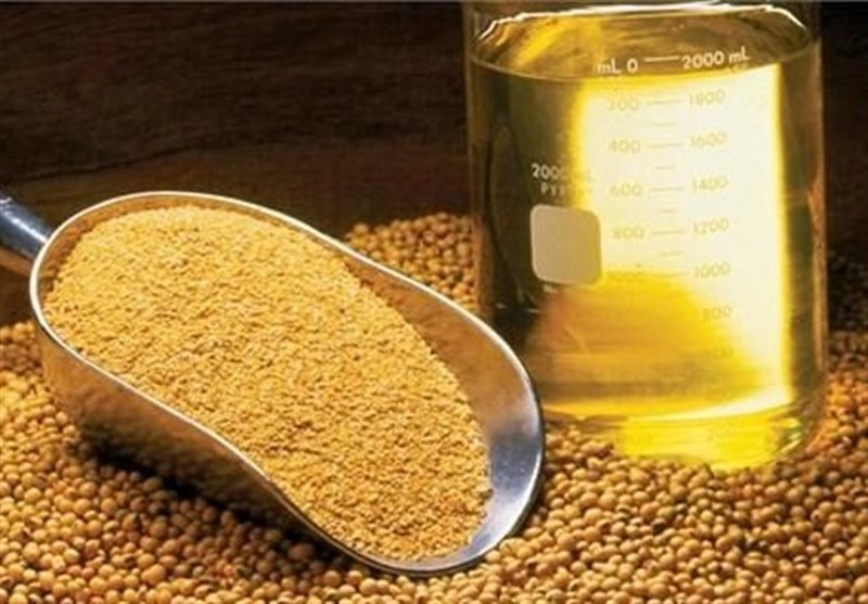 واردات روغن خام ۳۴ درصد کاهش و قیمت جهانی ۳۰درصد افزایش یافت