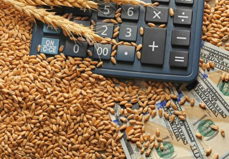اعلام زودهنگام واردات گندم؛ اشتباه استراتژیک