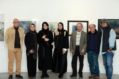 شیراز میزبان دومین نمایشگاه آثار تجسمی سینماگران می‌شود