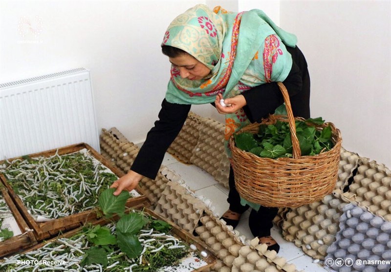 متقاضیان تسهیلات مشاغل خانگی به بانک مراجعه نکنند