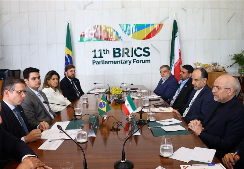 قالیباف: همکاری بخش خصوصی ایران و برزیل تقویت شوند
